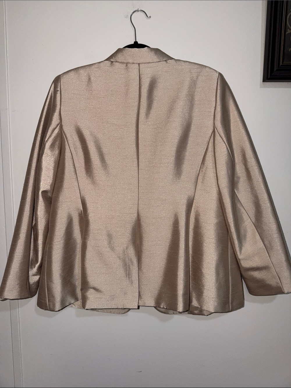 John Meyer Women's Champagne Satin Pantsuit - Tailored Jacket & Pants - Picture 5 of 11